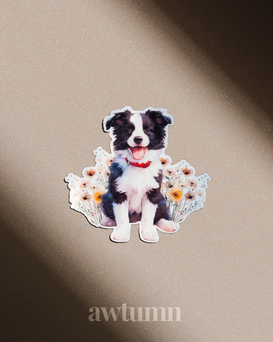 Border Collie Dog Vinyl Sticker | Durable & Waterproof