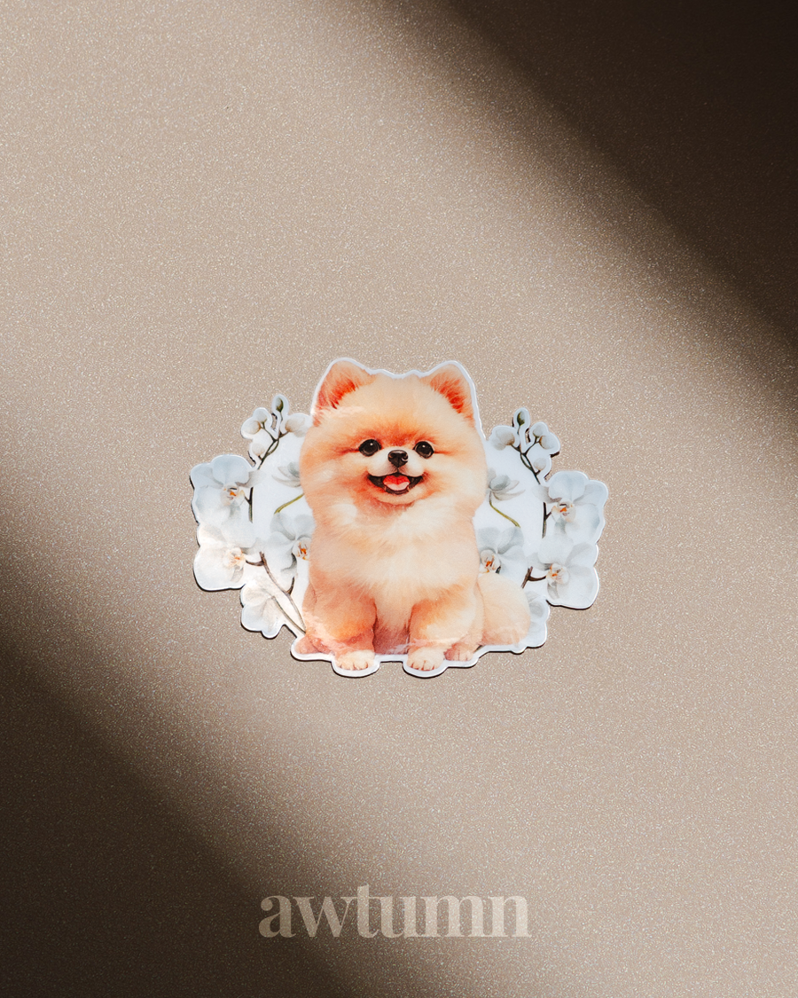 Pomenarian Dog Vinyl Sticker | Durable & Waterproof