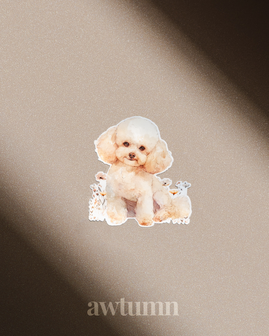 Poodle Dog Vinyl Sticker | Durable & Waterproof