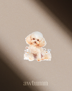 Poodle Dog Vinyl Sticker | Durable & Waterproof